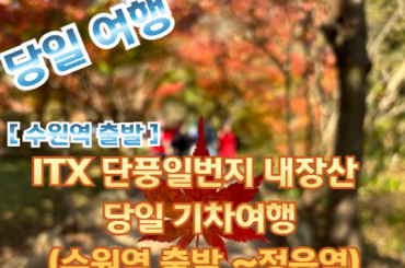 [새마을호-수원역 07:03] 단풍일번지 내장산 당일 기차여행  (당일) 10월24일~11월15일 [수원역,천안역]