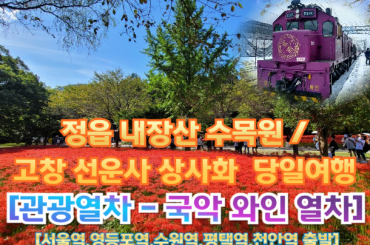 [국악와인열차-당일] 정읍 내장산 수목원 / 고창 선운사 상사화  (당일)  [ 10월 4일] [서울역, 영등포역, 수원역, 평택역, 천안역,서대전역]