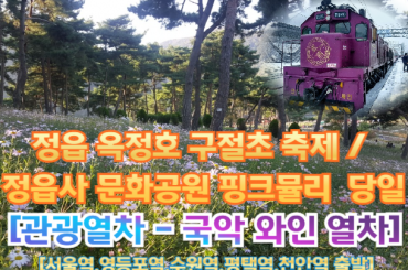 [국악와인열차-당일] 정읍 옥정호 구절초 축제  (당일)  [ 10월 9일] [서울역, 영등포역, 수원역, 평택역, 천안역,서대전역]