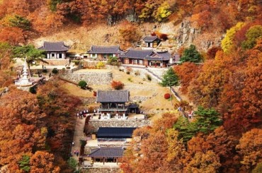 [관광열차/협곡열차] 백두대간협곡열차 가을단풍 / 동해산타열차 / 부석사 여행행(당일) 여행 (당일) 10/17~11/14 (토요일)