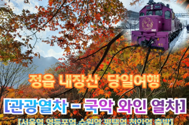 [국악와인열차-당일] 정읍 정읍 내장산  (당일)  [ 11월 10,14,15,17일 ] [서울역, 영등포역, 수원역, 평택역, 천안역,서대전역]