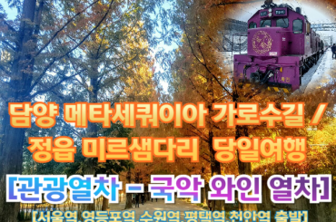[국악와인열차-당일] 담양 메타세쿼이아 가로수길 / 정읍 미르샘다리  (당일)  11월 21,22일 [서울역, 영등포역, 수원역, 평택역, 천안역,서대전역]