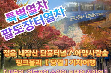 [특별열차-팔도장터열차(당일)] 정읍 내장산 단풍터널 / 아양사랑숲 핑크뮬리 (당일) [ 11월 5,7일 ] 서울역,영등포역,수원역,평택역,천안역