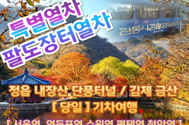 [특별열차-팔도장터열차(당일)] 정읍 내장산 단풍터널 / 김제 금산사 (당일) [ 11월 9일 ] 서울역,영등포역,수원역,평택역,천안역