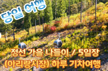 [ KTX 이음 -당일] 정선 가을 나들이 / 5일장(아리랑시장)하루 기차여행 (당일) (서울역,청량리역)10월~11월 / 2, 7일 장날, 토요일