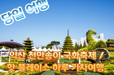 [ KTX -당일 ] 익산 천만송이 국화축제 / 핫 플레이스 기차여행 (당일) (용산역)