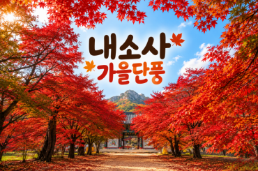 [수도권/경기권/전라권/충청권/경상권]★가을단풍★ 내소사 단풍 /채석강(당일) 10월17일(토)~11월22일(일)