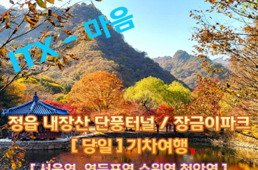 [ITX-마음 (당일)] 정읍 내장산 단풍터널 / 김제 금산사 (당일) [ 11월 10일,14일] 서울역,영등포역,수원역,천안역
